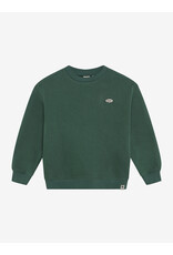 Daily7 Oversized Sweater Basic Jungle Green