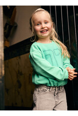 Daily7 Sweater Cropped Sea Green