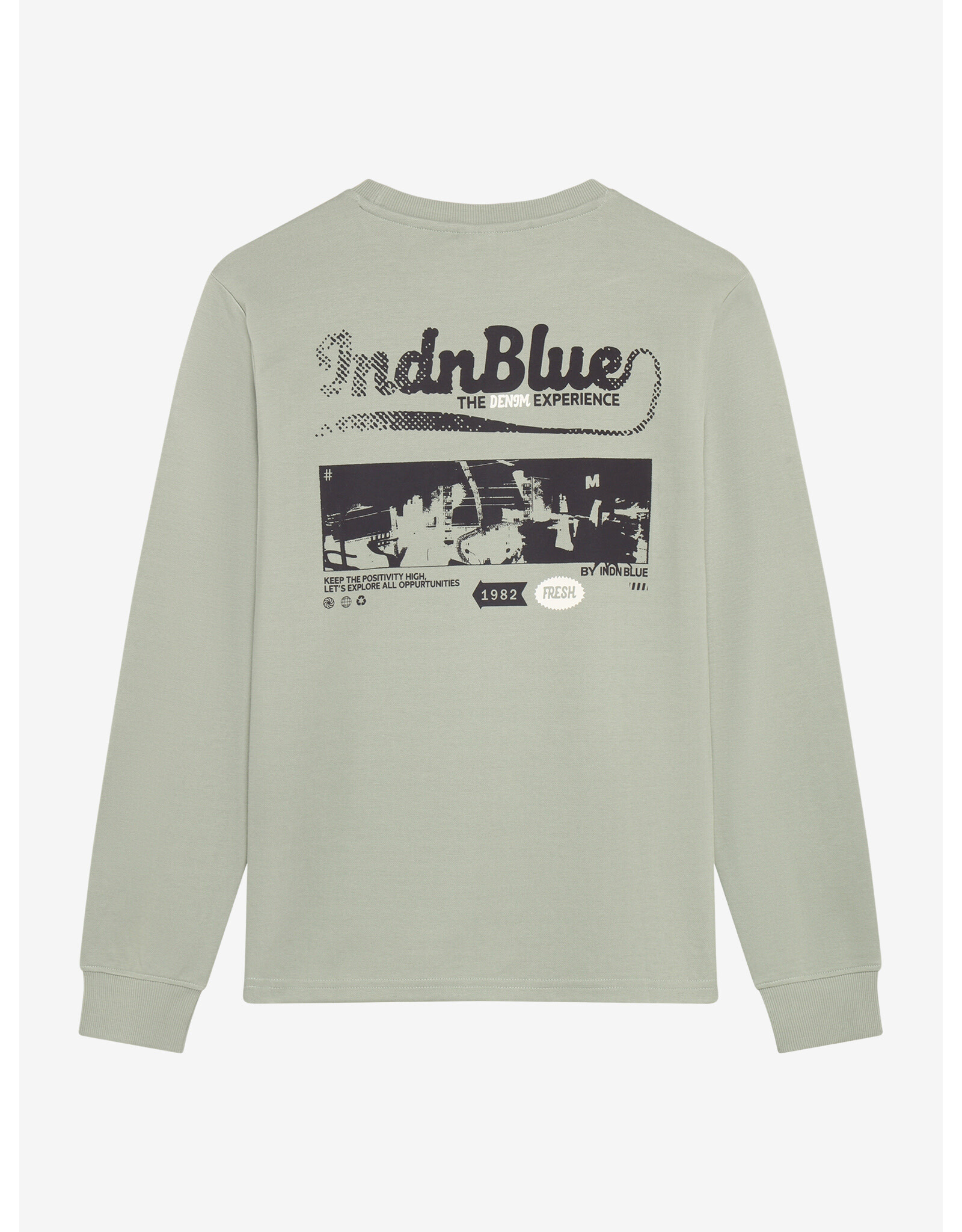 Indian Blue Jeans T-Shirt LS AW Sleeve Dust Green