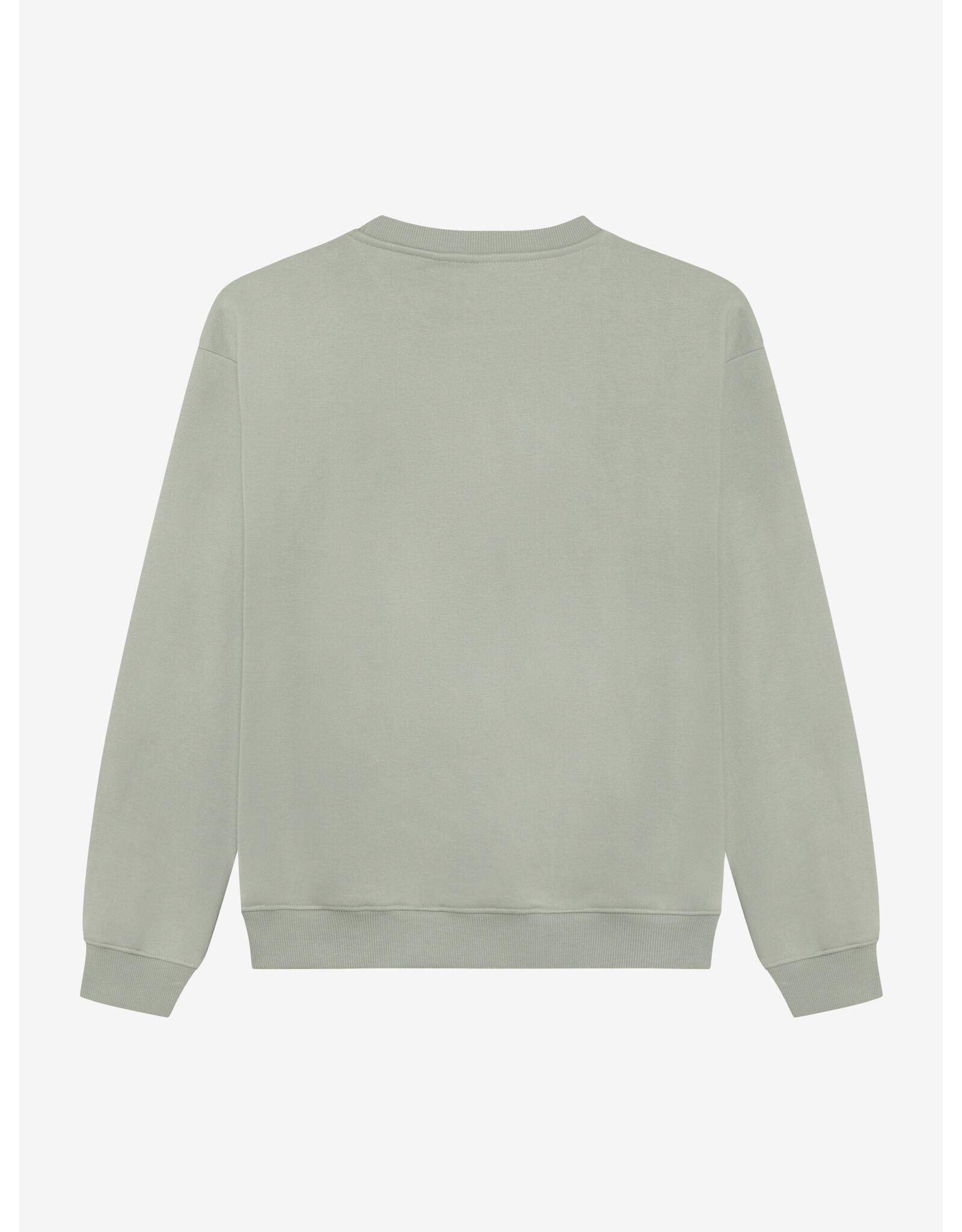 Indian Blue Jeans Loose Fit Sweat Basic Dust Green