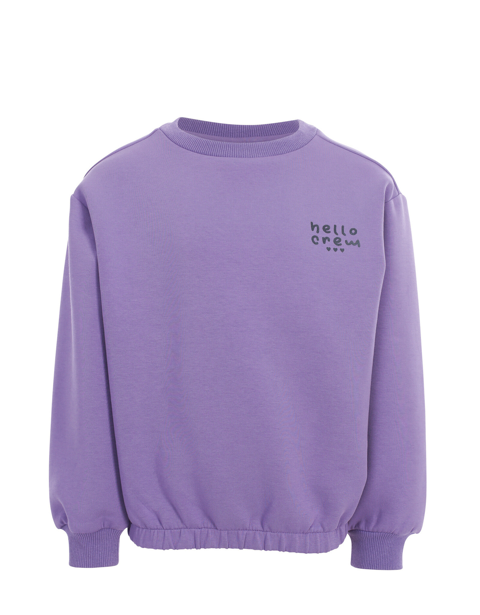 Little Looxs Little scuba Sweater VERBENA PURPLE