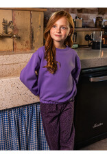 Little Looxs Little scuba Sweater VERBENA PURPLE