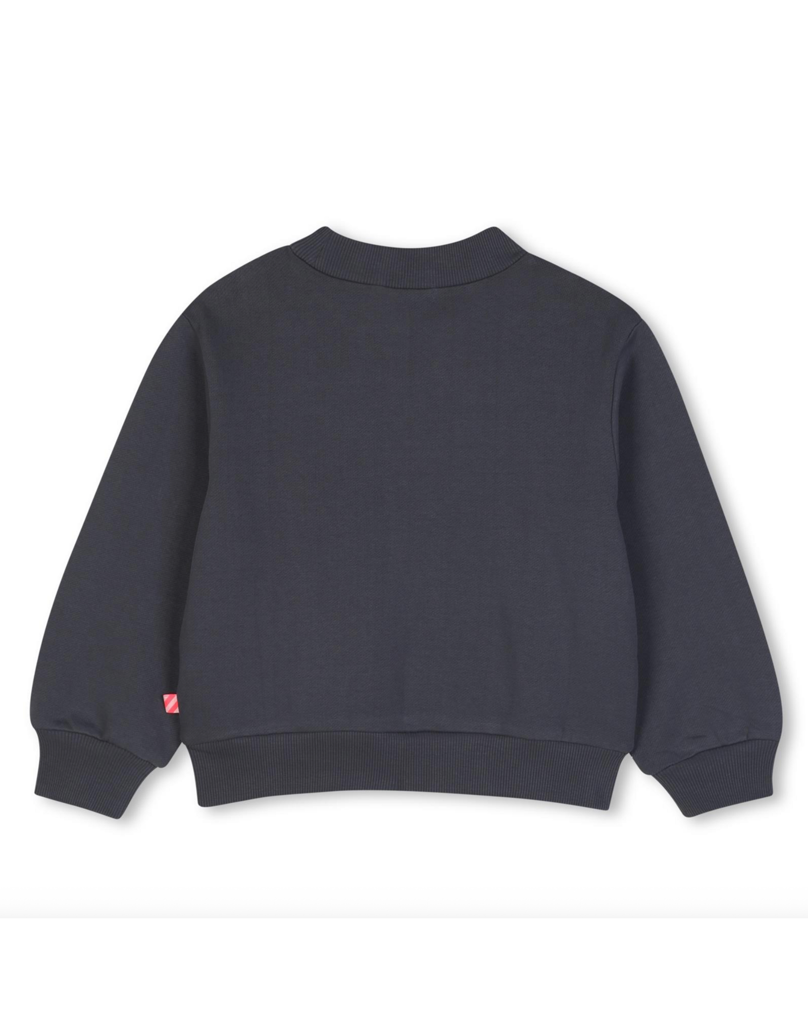 BILLIEBLUSH SWEATSHIRT Grey