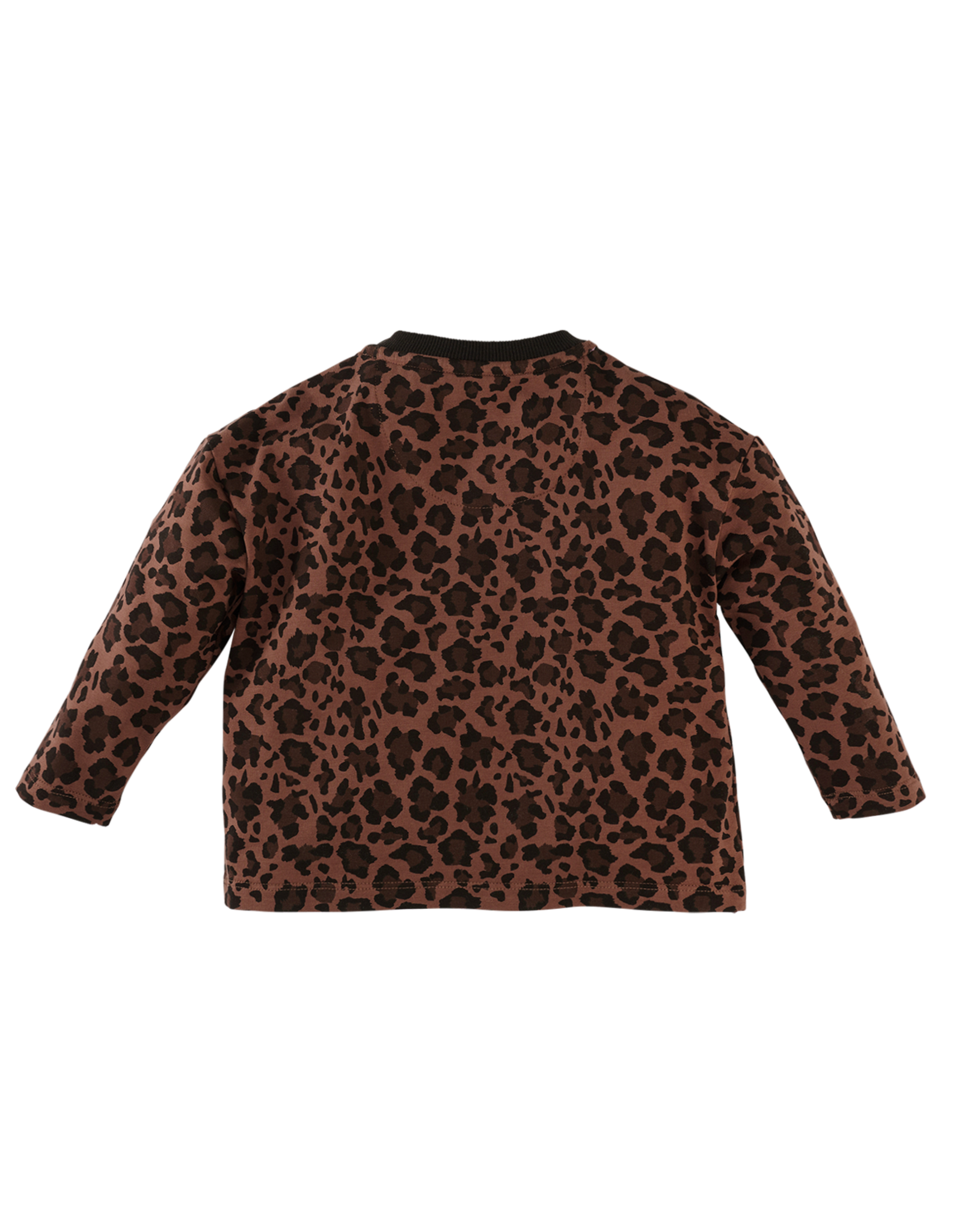 Z8 Aila Autumn teddy