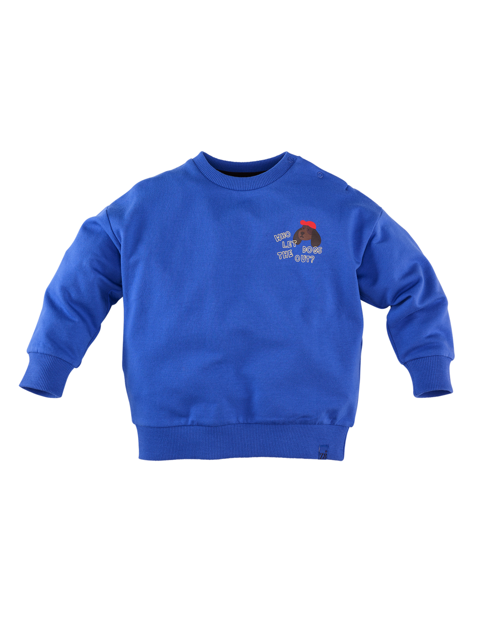 Z8 Vinz Electric blue