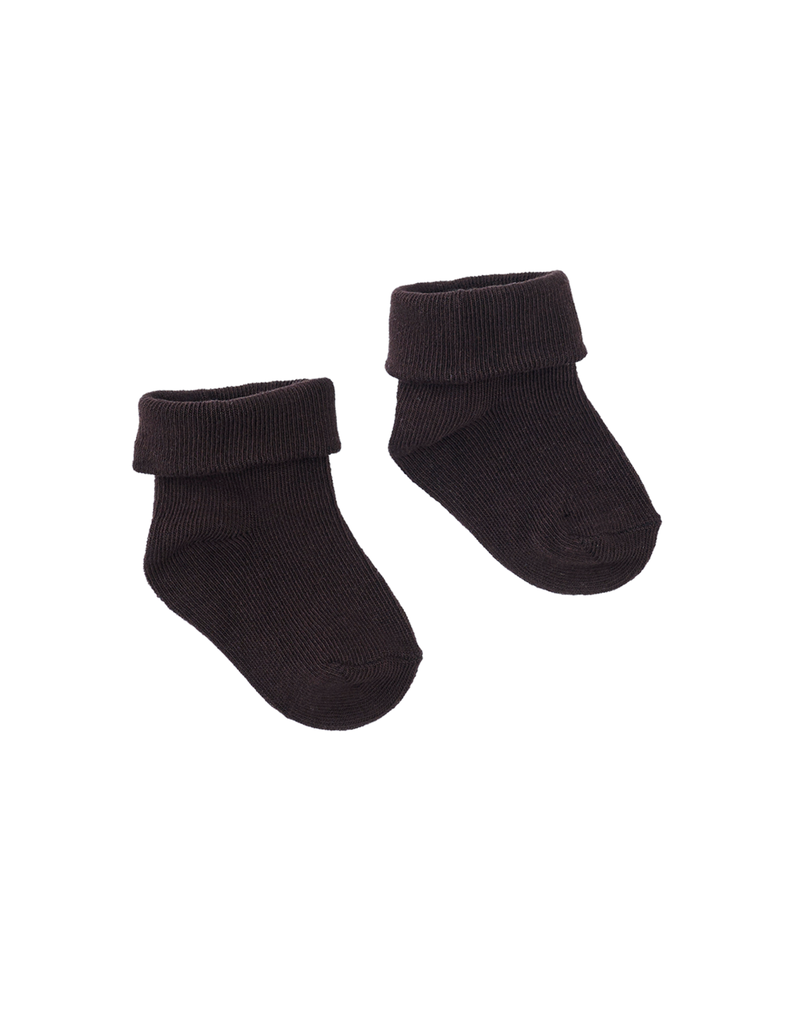 Z8 Juno Chocolate plum