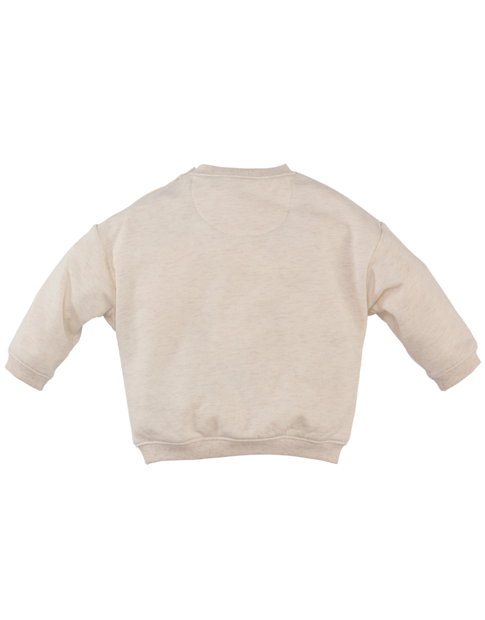 Z8 Beau Beige melange