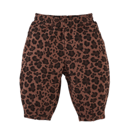 Z8 Zaira Autumn teddy