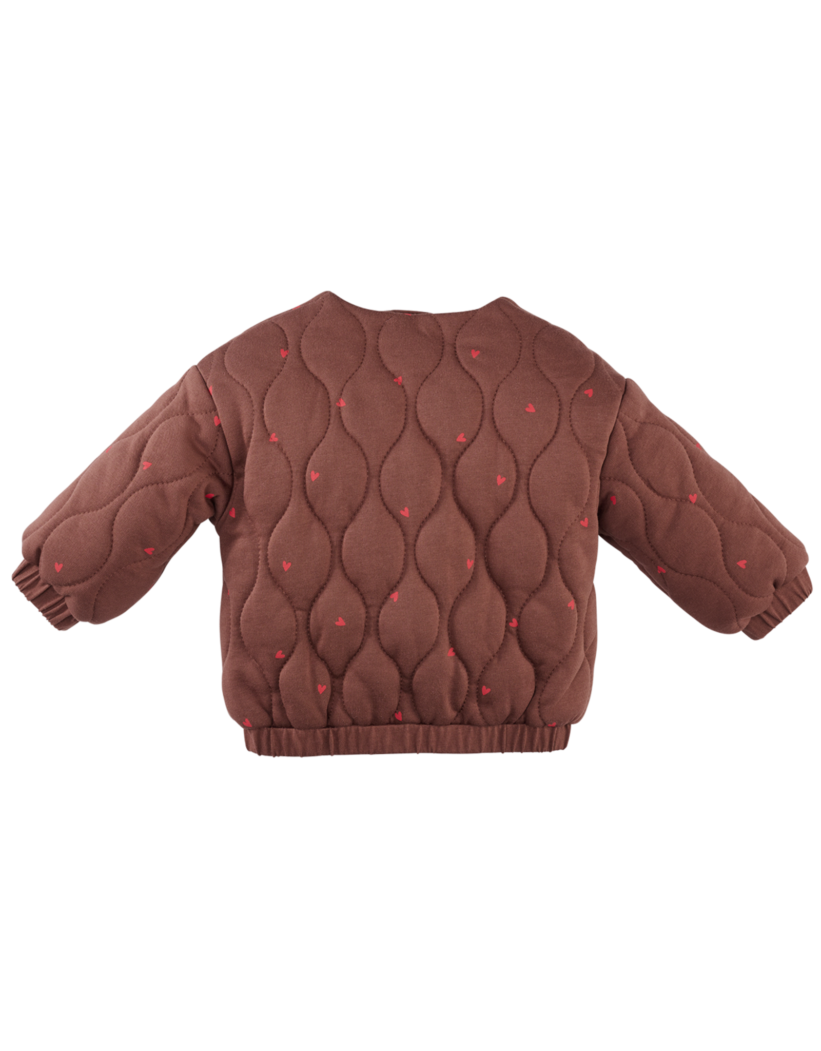 Z8 Ember Autumn teddy