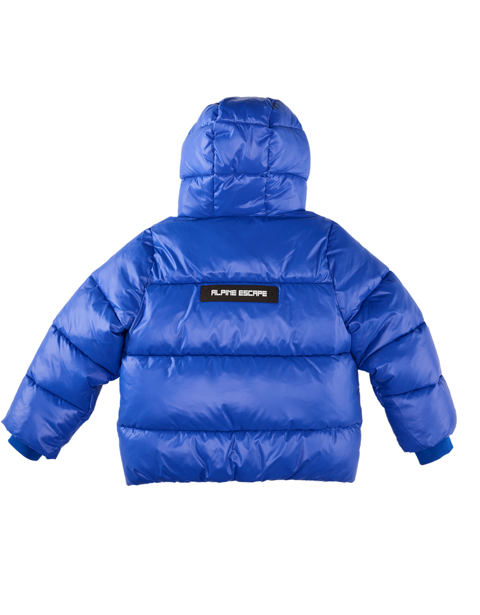 Z8 Benso Electric blue