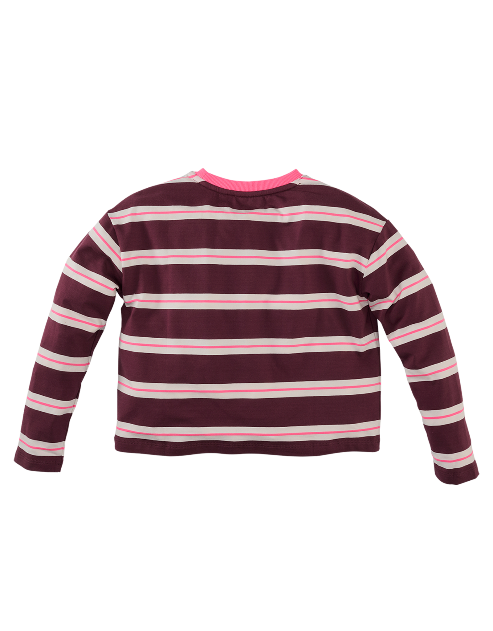 Z8 Diana Burgundy battle