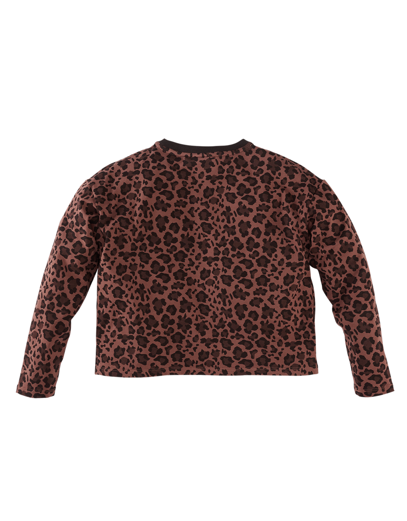 Z8 Doris Autumn teddy