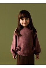 Name it NMFNDOPER LS KNIT Wild Ginger