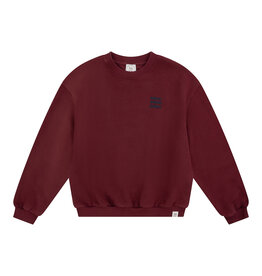 NAVY NATURAL Oversized sweater waves burgundy