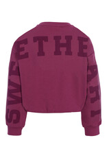 Little Looxs Little balloon sweater DARK VIOLET