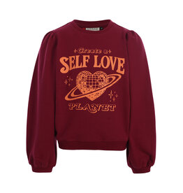 Little Looxs Little sweater Ruby red