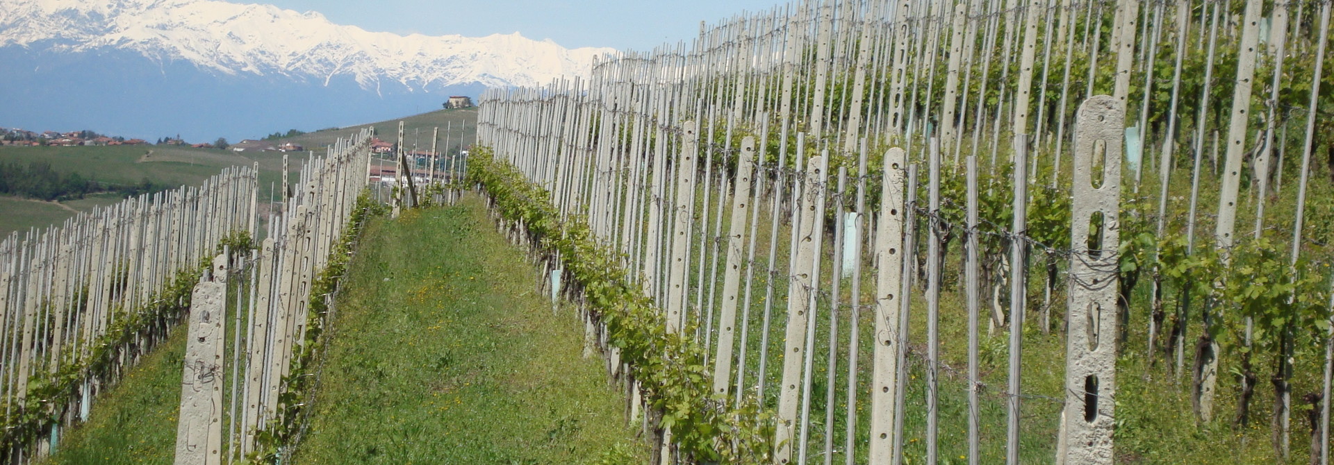 Piemonte
