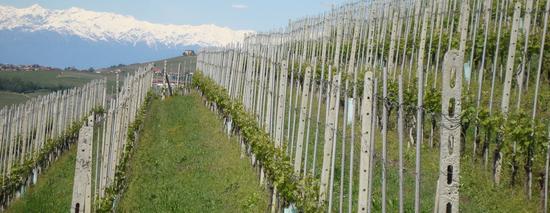 Piemonte