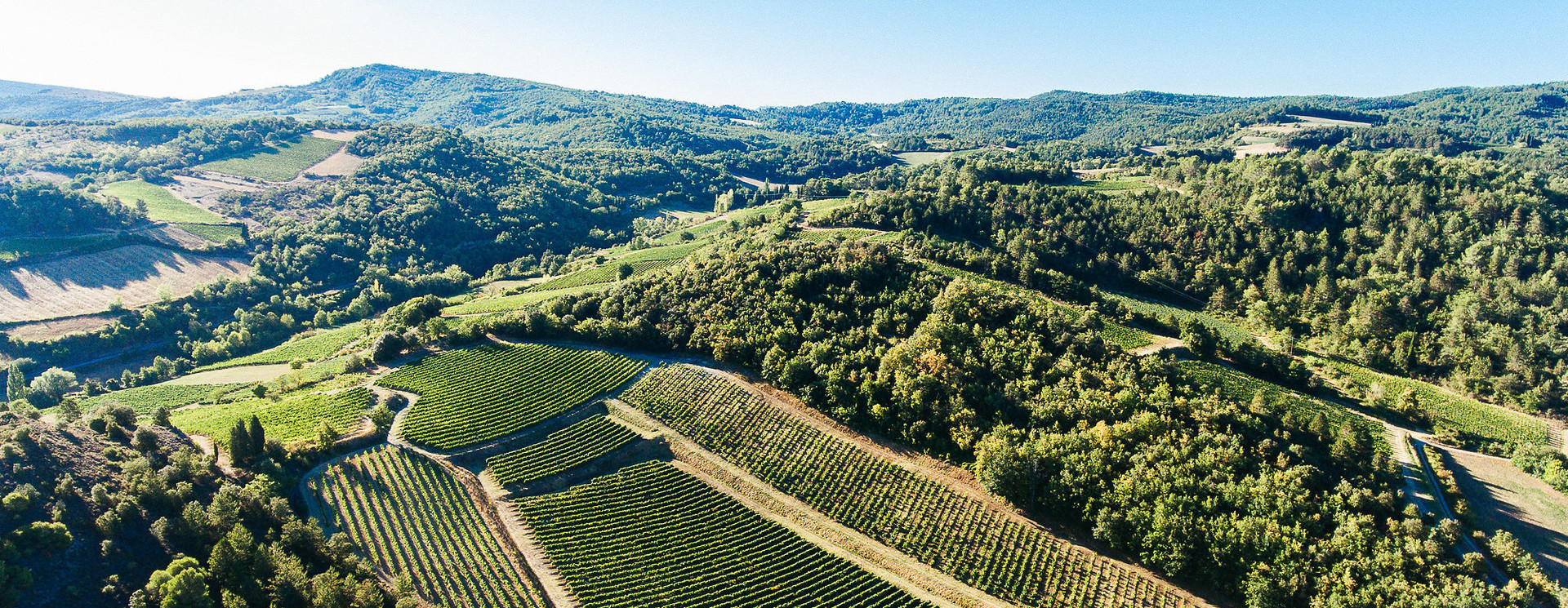 Languedoc - Roussillon