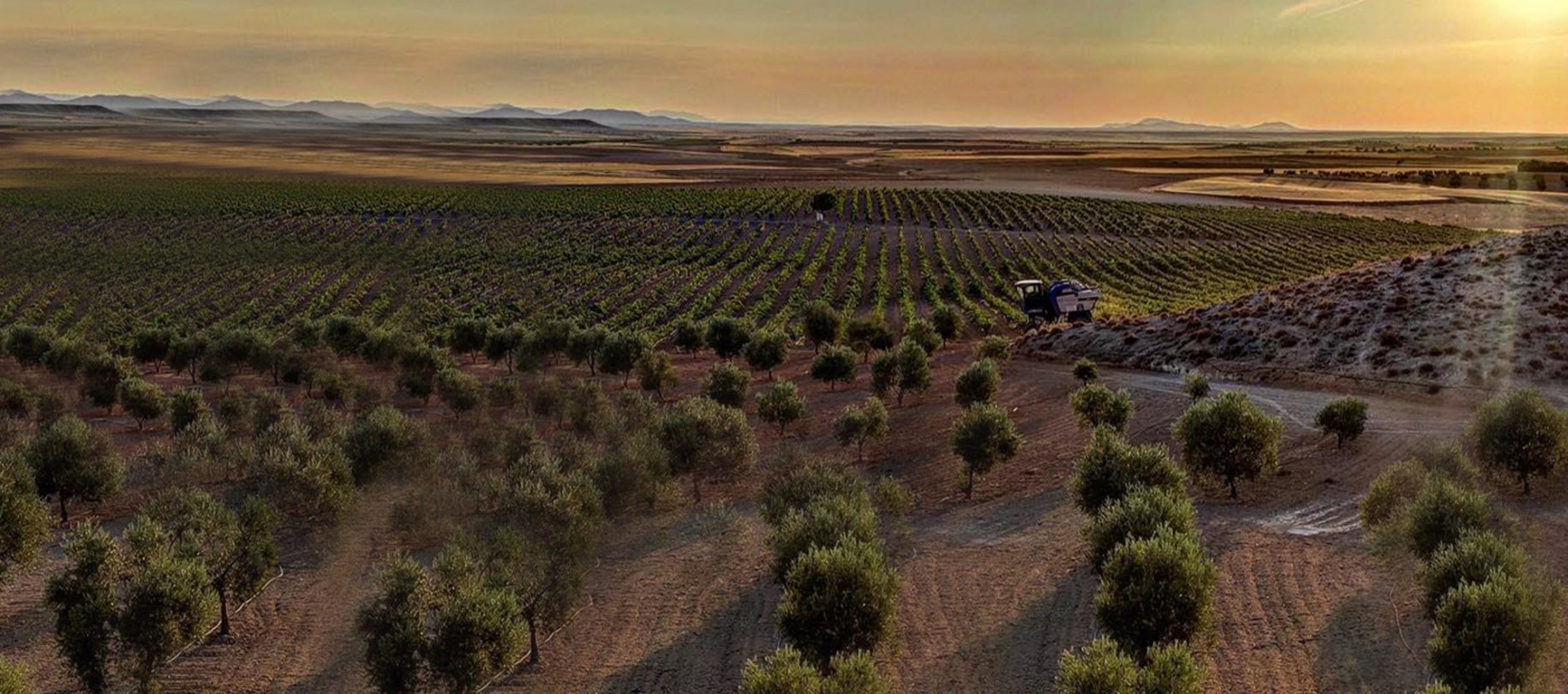 Pago Campo de la Guardia