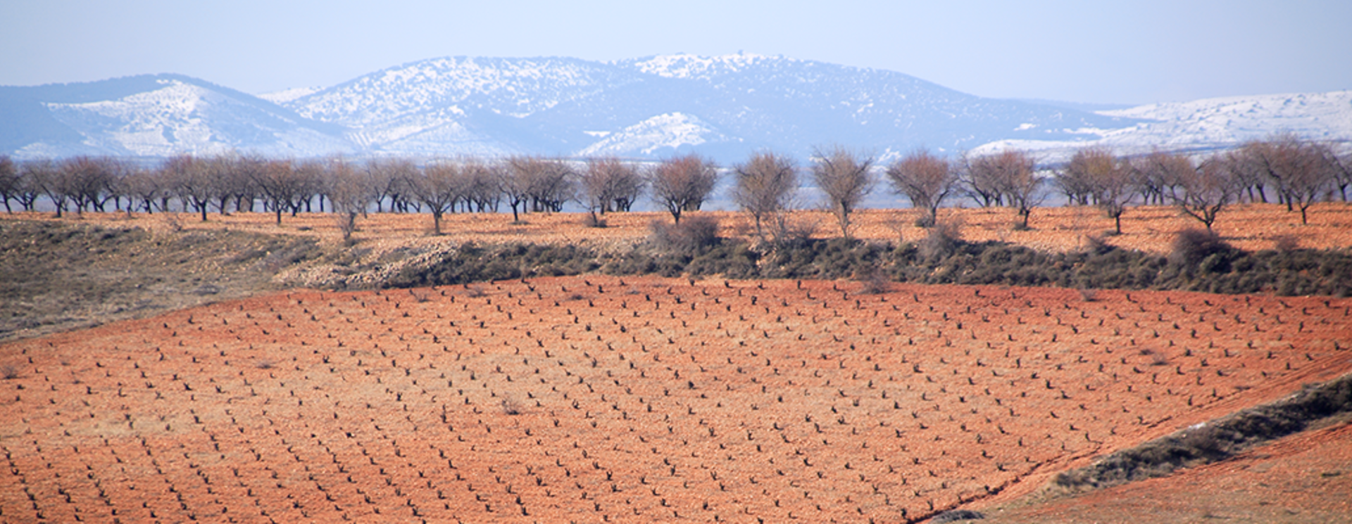 Calatayud