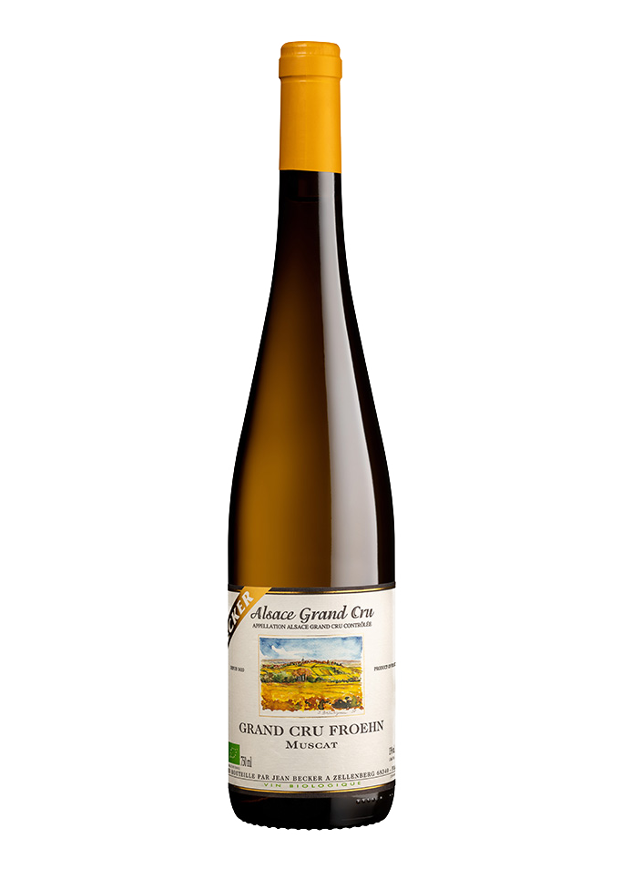 Alsace Muscat Grand Cru Froehn - Frans van den Hoogen Wijnkoopers