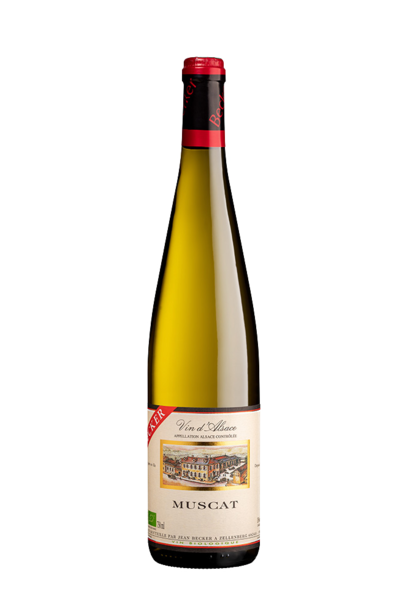 Muscat d'Alsace