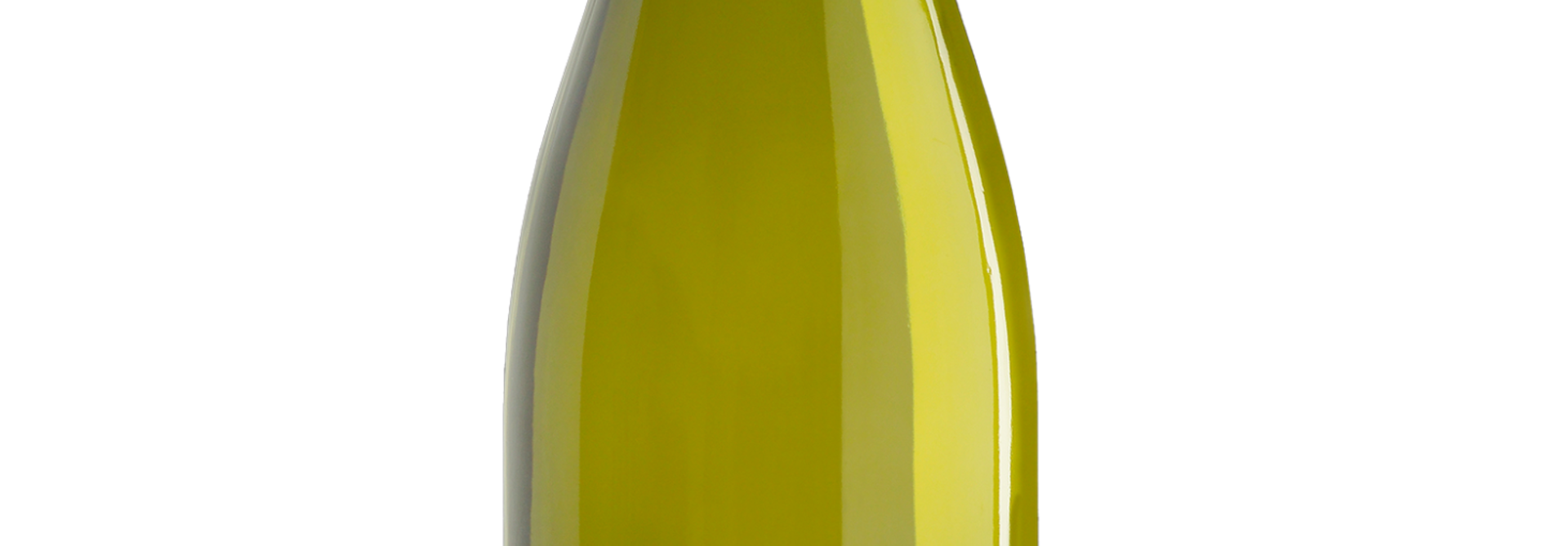 Bourgogne Blanc Didier Desvignes