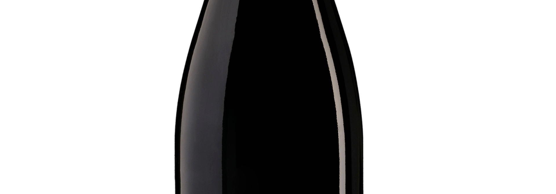Morgon Terre de Charmes 2018, Didier Desvignes