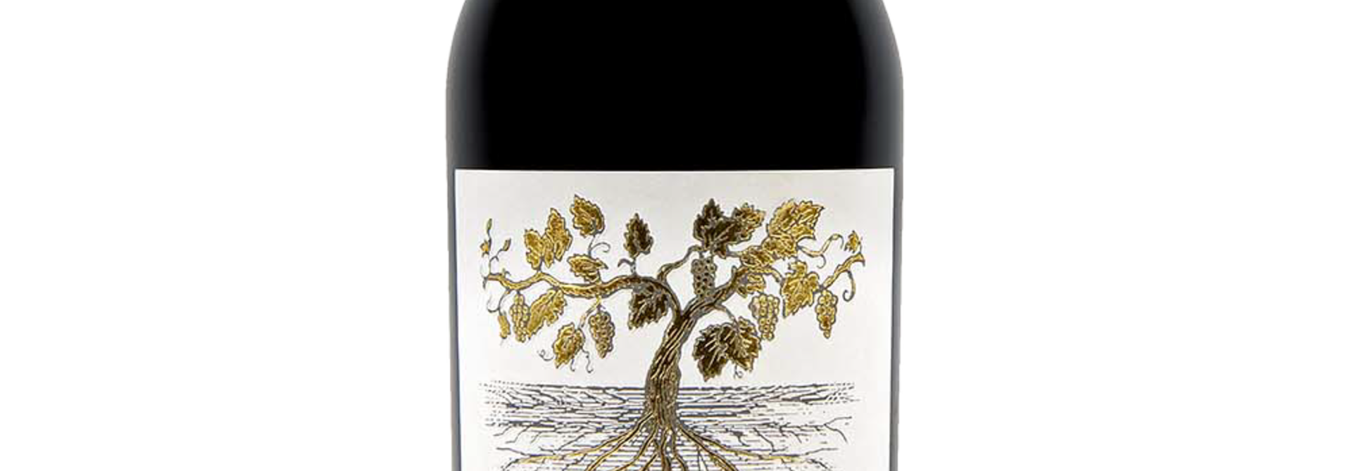Paradiso Stizzato Primitivo-Nero di Troia