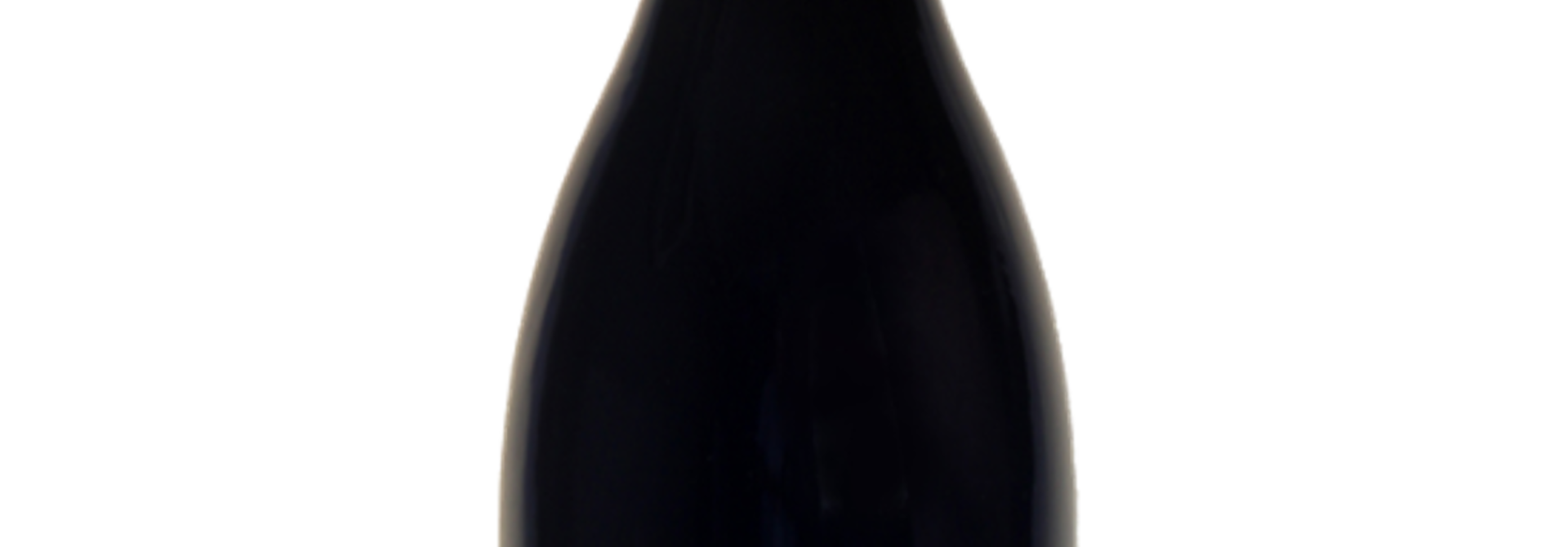 Santenay Comme Dessus Domaine de la Choupette