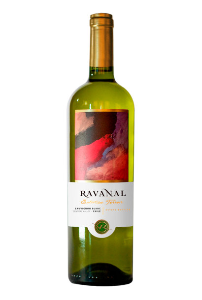 Sauvignon Blanc 2024
