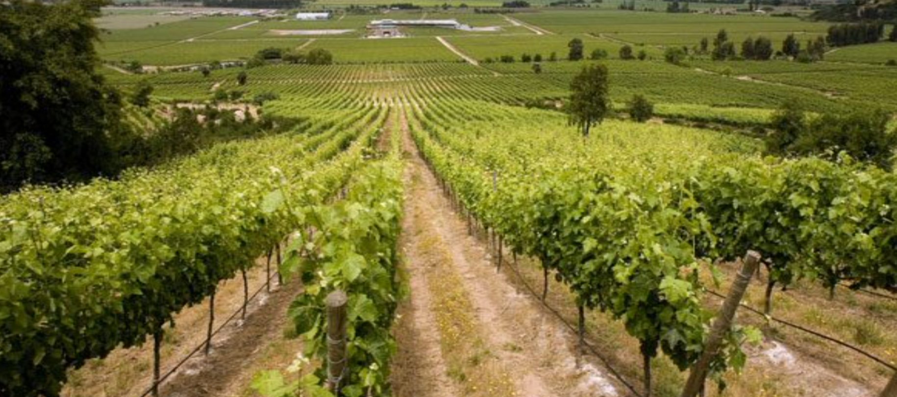 Colchagua Valley