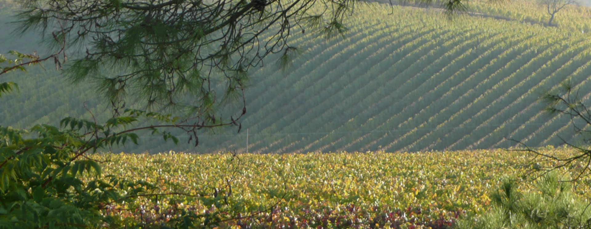 Piemonte Monferrato