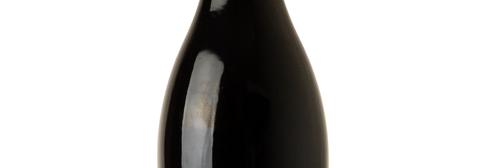 Choupette, Bourgogne Côte d'Or Pinot Noir 2022