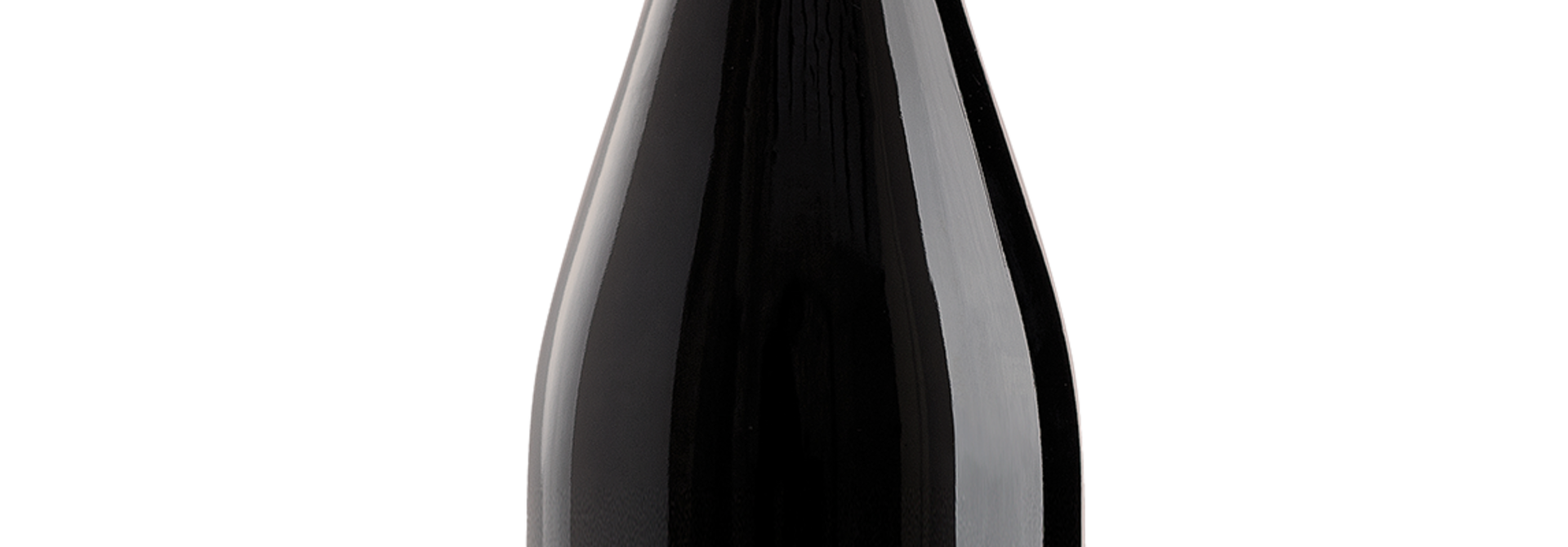 Marco Valerio Marcial 2020