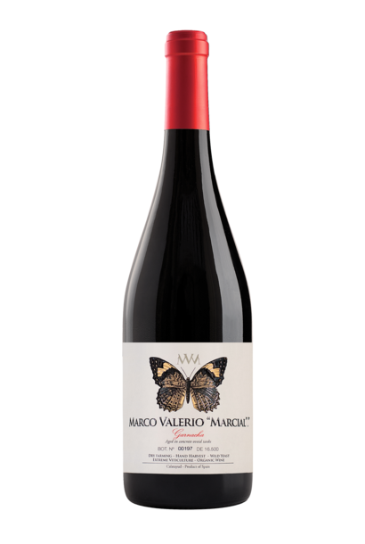 Marco Valerio Marcial