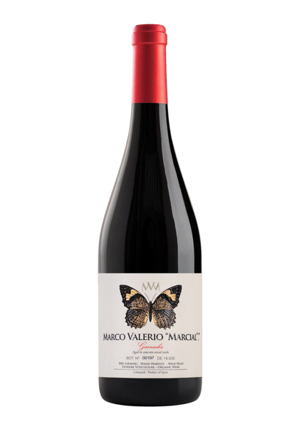 Marco Valerio Marcial 2020