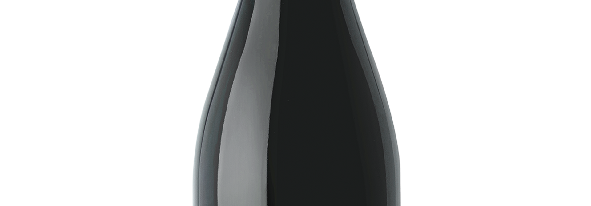 Reyes de Aragon Garnacha Cuvee Real 2022