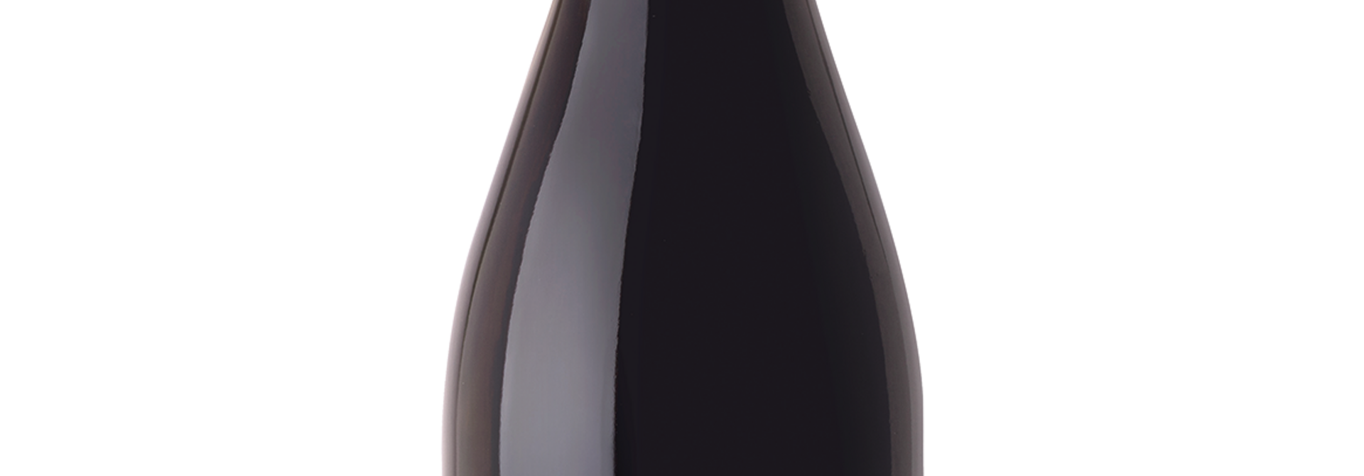 Reyes de Aragon Garnacha "El Frasno"  2023