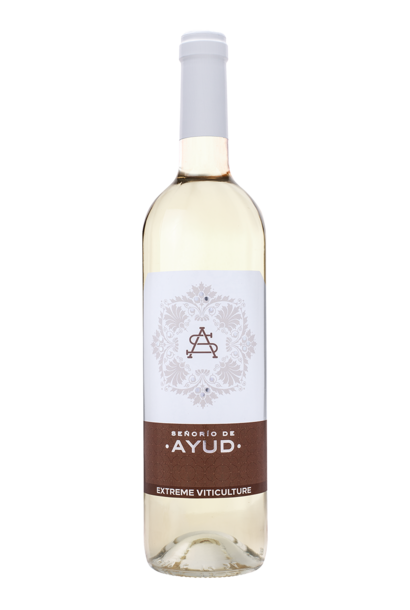 Señorio de Ayud Chardonnay 2025