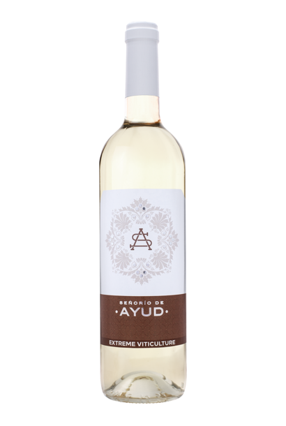 Señorio de Ayud Chardonnay 2025