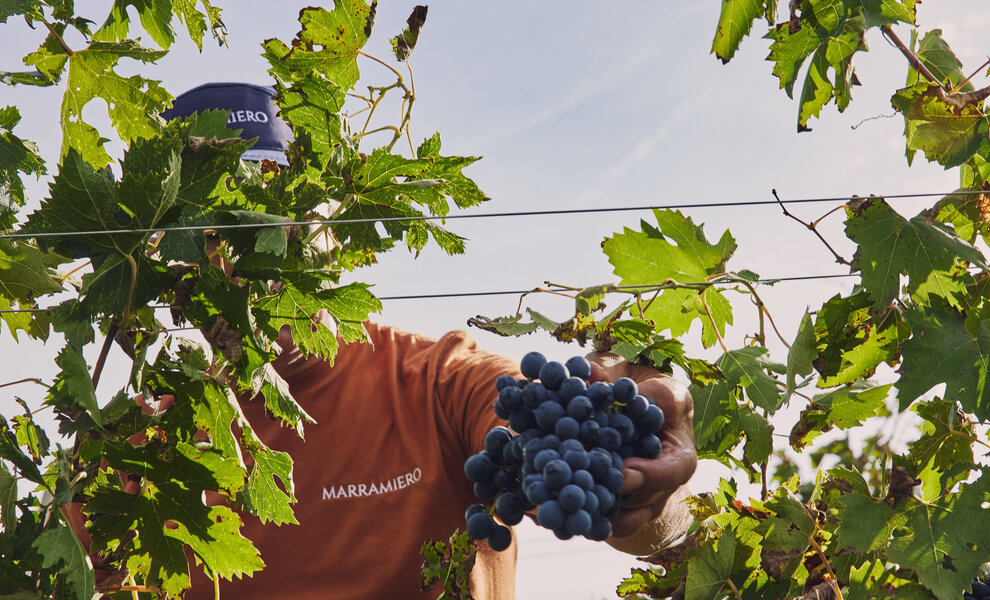 De (her)ontdekking van Marramiero