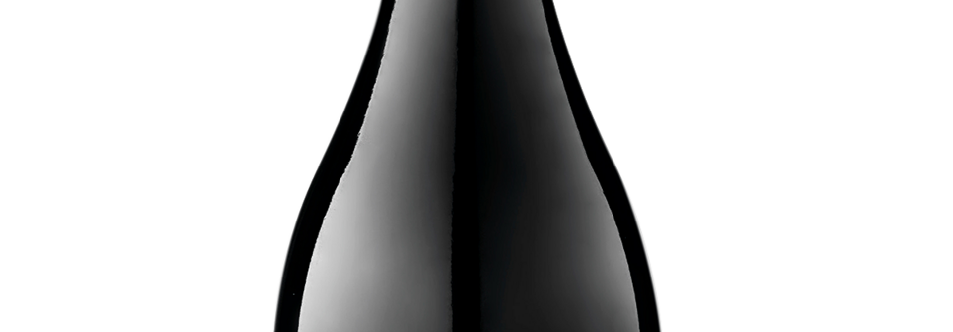 Ravanal Ovation Syrah 2019