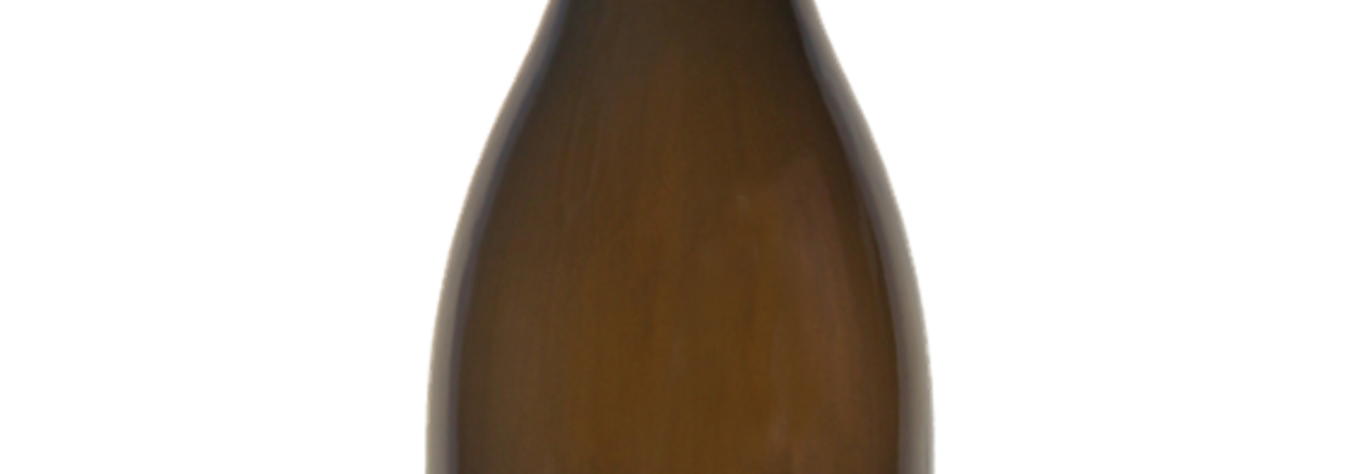 Choupette, Chassagne Montrachet 1er Cru Morgeot Blanc 2023