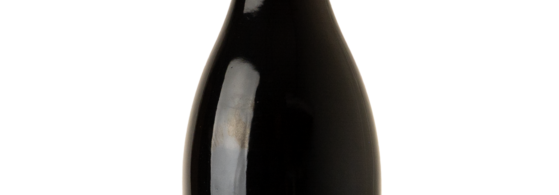 Choupette, Bourgogne Côte d'Or Pinot Noir 2023