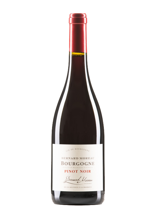 Bourgogne Pinot Noir 2024, Bernard Moreau,-1