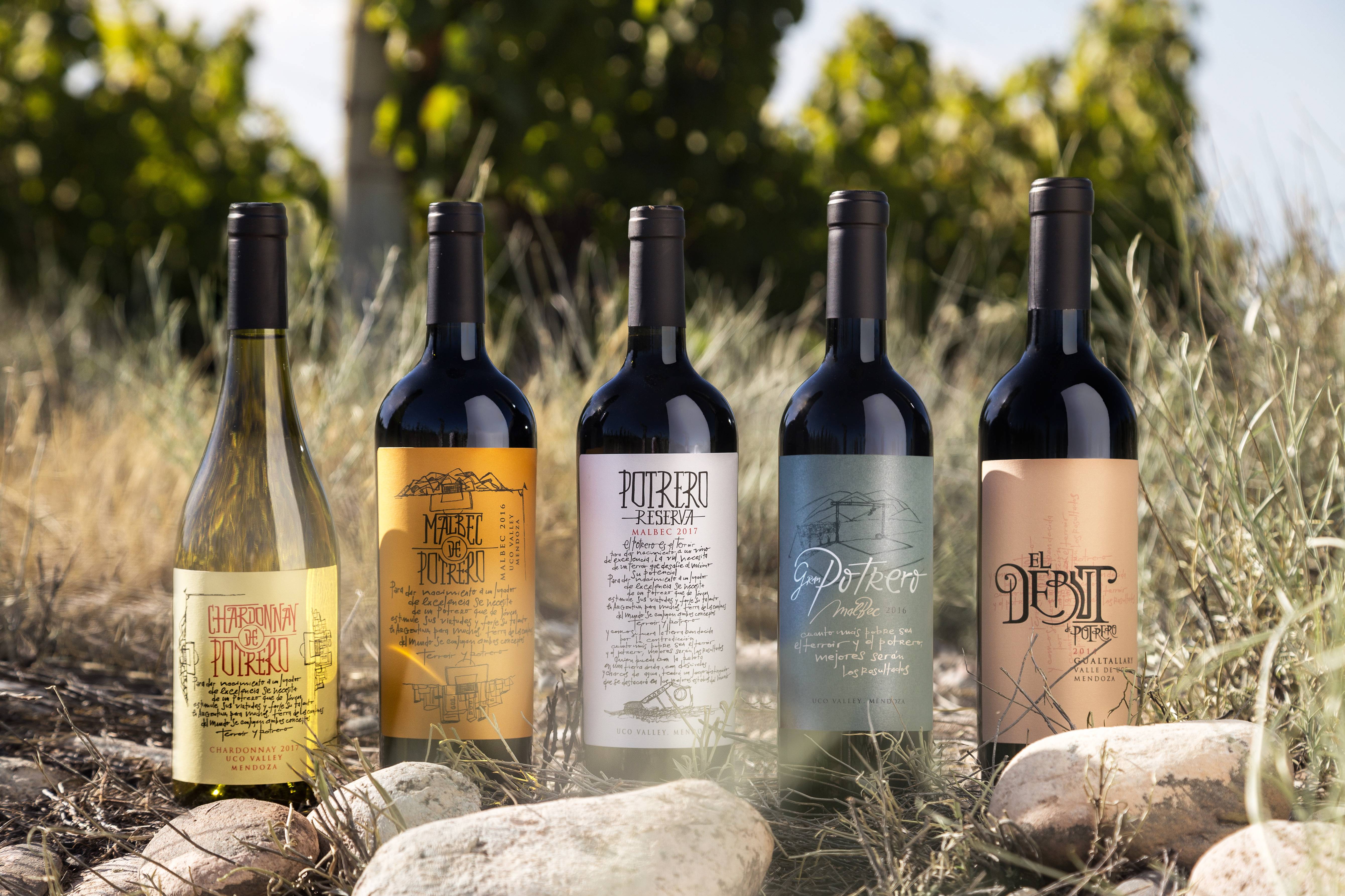 Vinos de Potrero-1