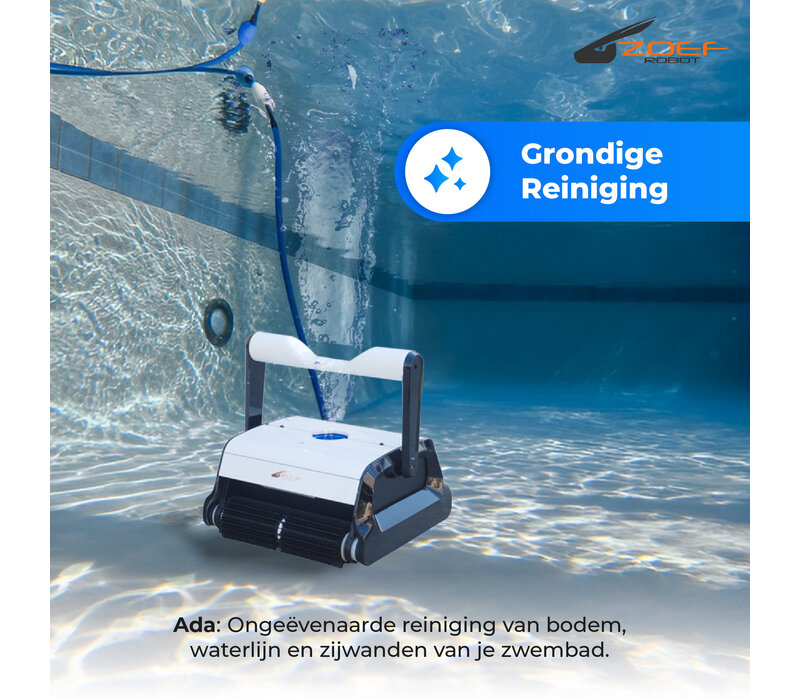 Ada ZB20C - Schwimmbadroboter - für Boden, Wände und Wasserlinie