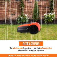 Zoef Robot robotic lawnmower Dirk with App <600 m2